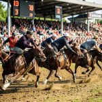 Greyhound race betting guide