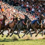 Greyhound racing betting calculators