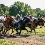 Greyhound racing documentaries