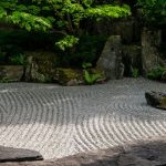 Canine track surface types and their impact on speed