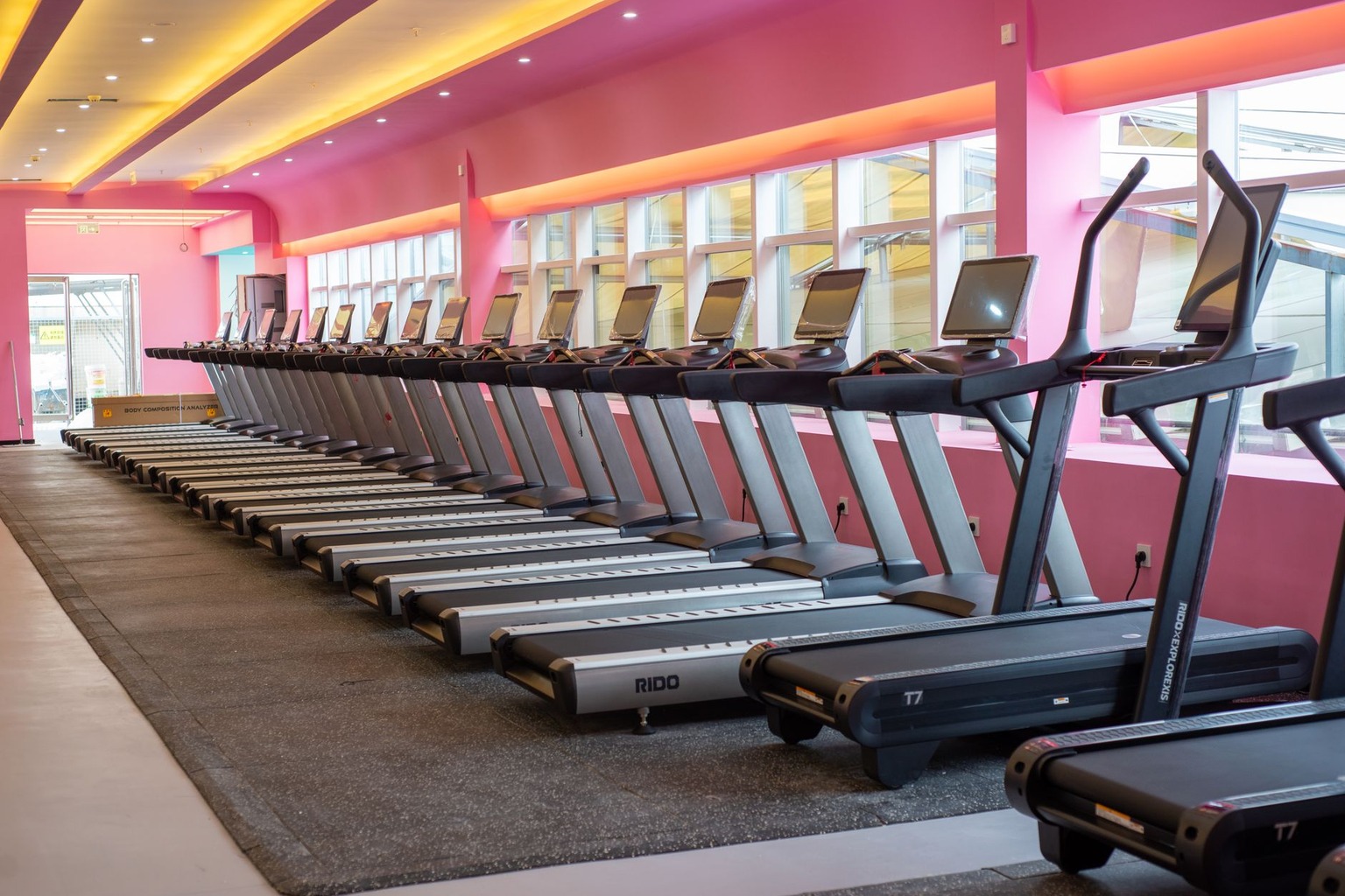 Comparing indoor and outdoor greyhound racing facilities — Training Regimens and Conditioning Programs