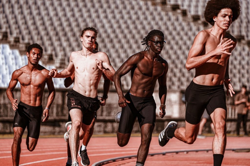 D1 Training East Cooper: Specialized Programs for Racing Dogs