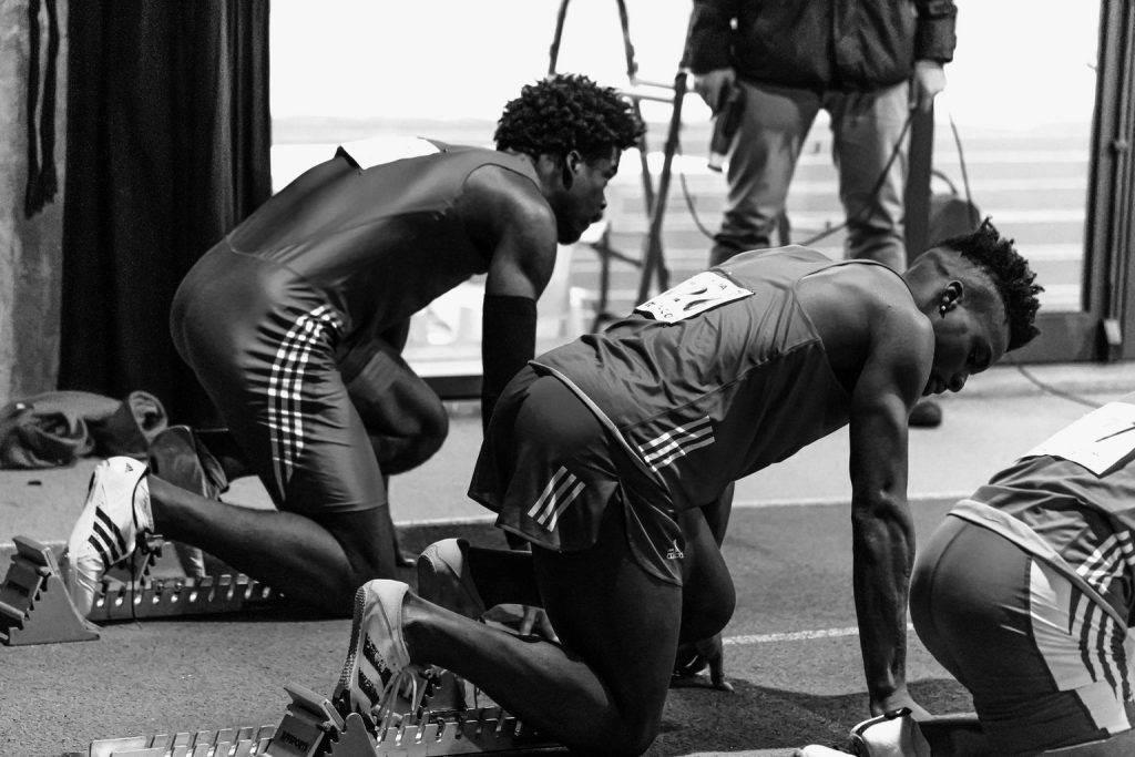 Fit Sport Techniques to Improve Endurance in Racing Dogs