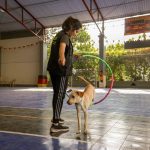 Fitness Gyms That Boost Conditioning for Competitive Dog Racing