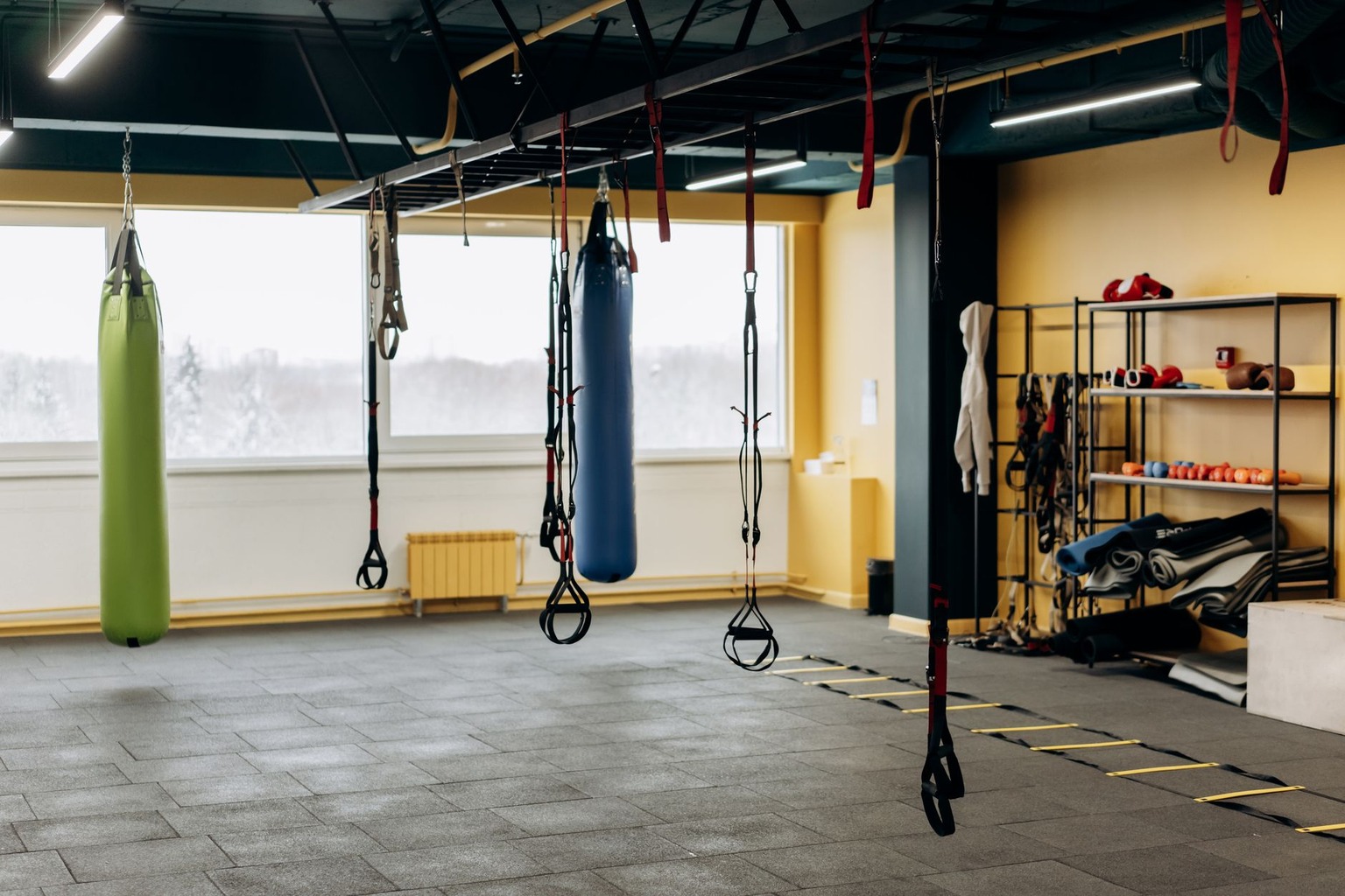 Fitness Gyms That Boost Conditioning for Competitive Dog Racing — Setting Up a Conditioning Schedule
