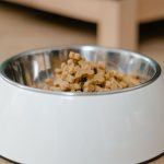Nutrition timing strategies for peak race day performance
