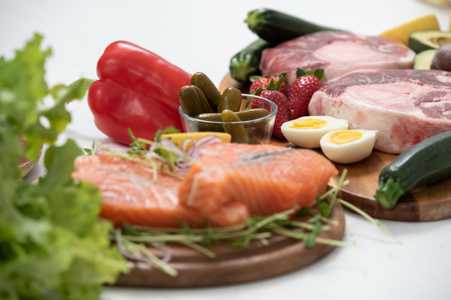 The Best Diets for High-Performance Racing Greyhounds