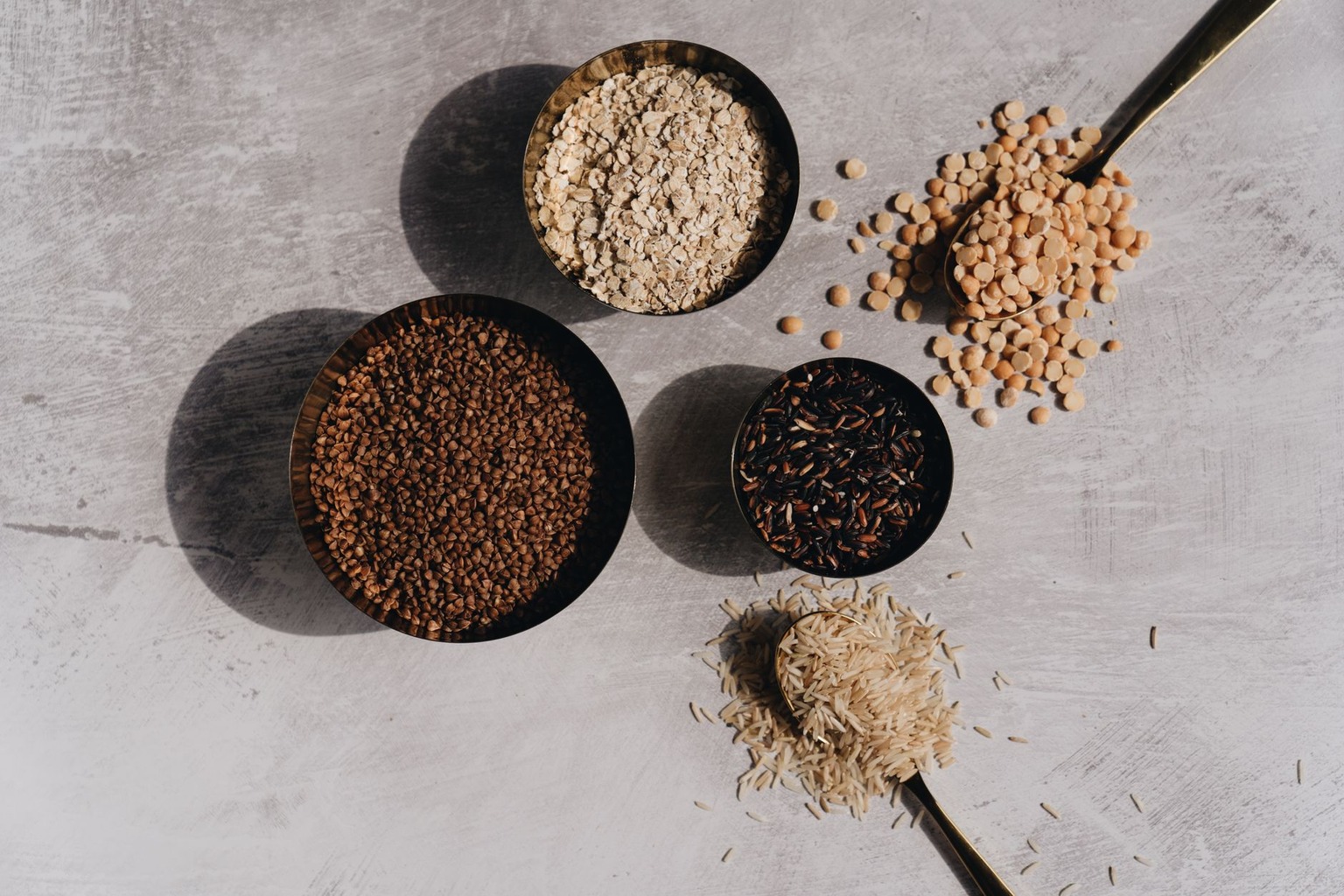 The Best Diets for High-Performance Racing Greyhounds — Carbohydrates: The Fine Line Between Fuel and Fat